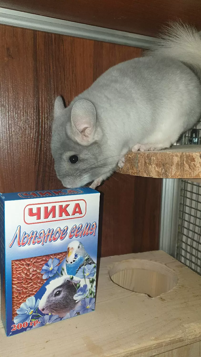 Льняное семя
