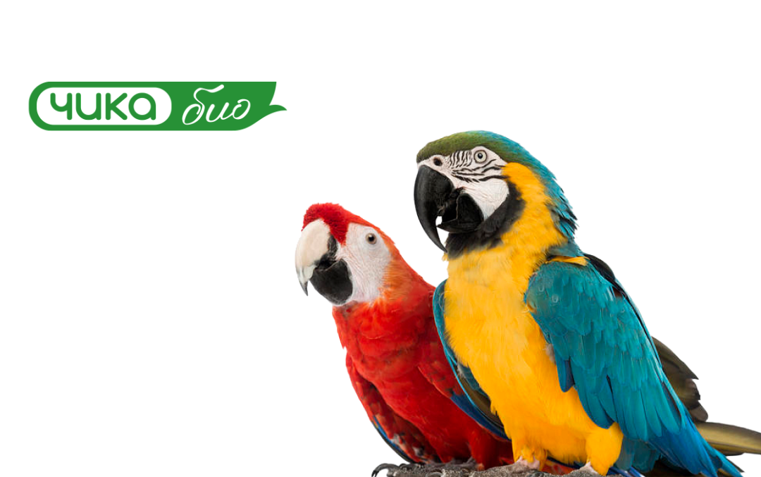 Аксессуары для птиц