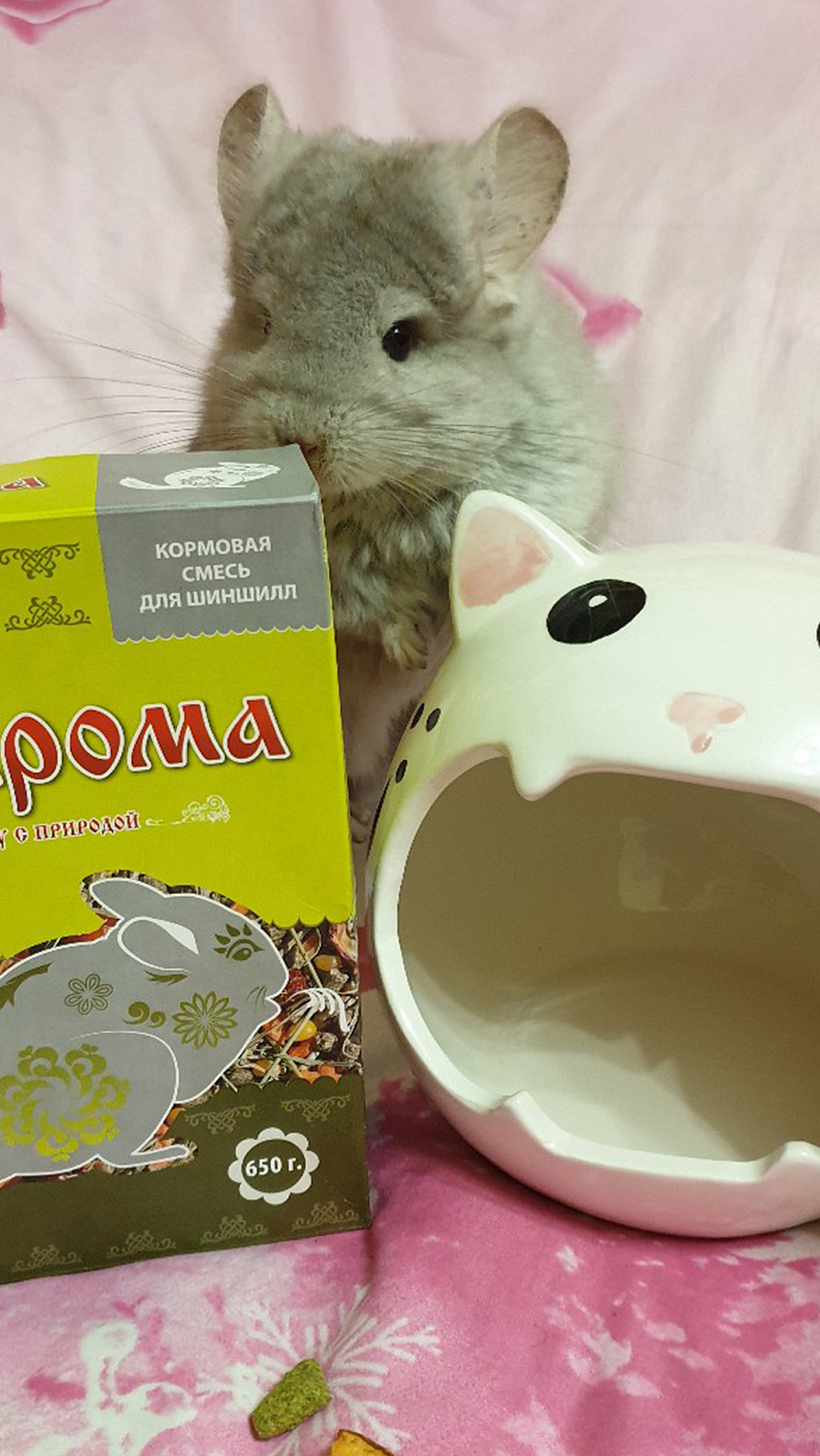 Кормовая смесь для шиншилл