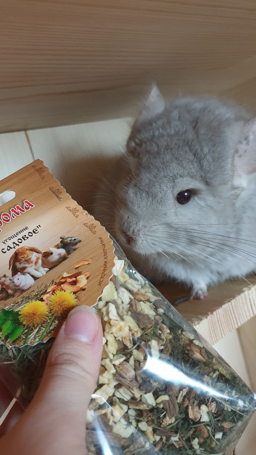 Угощение «Садовое»