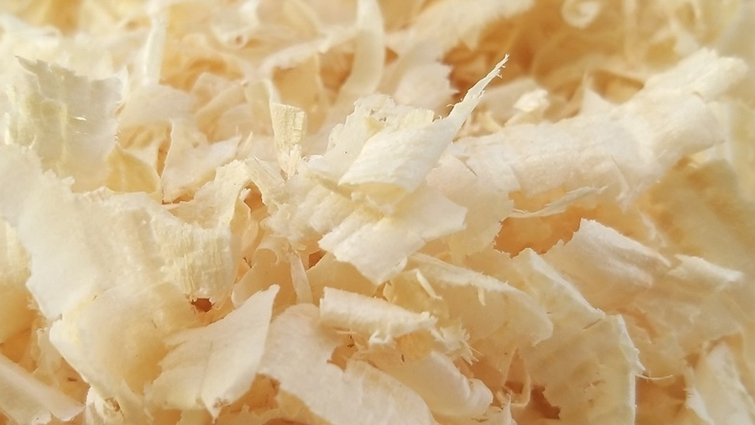 Скоро в продаже!