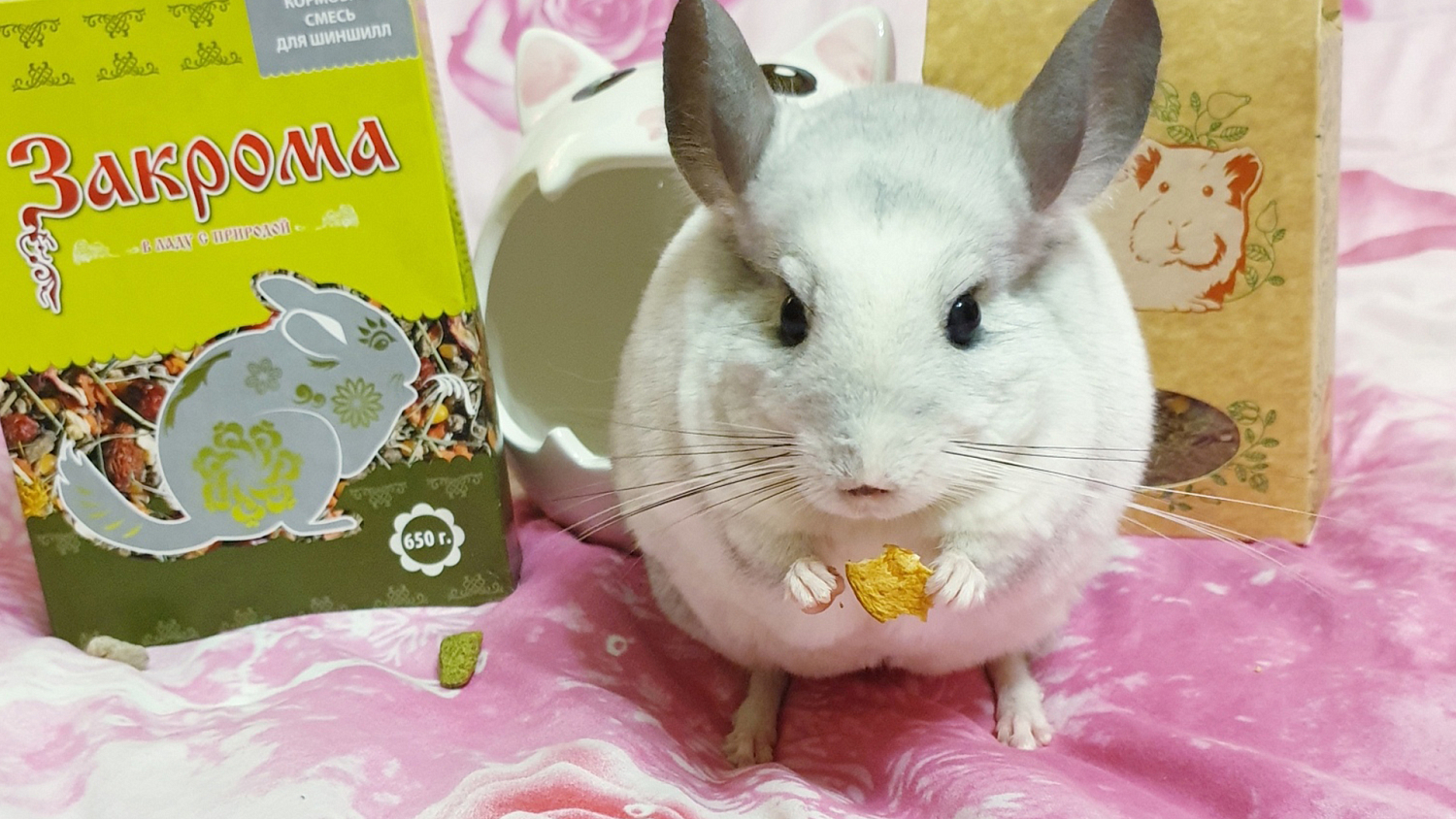 Кормовая смесь для шиншилл