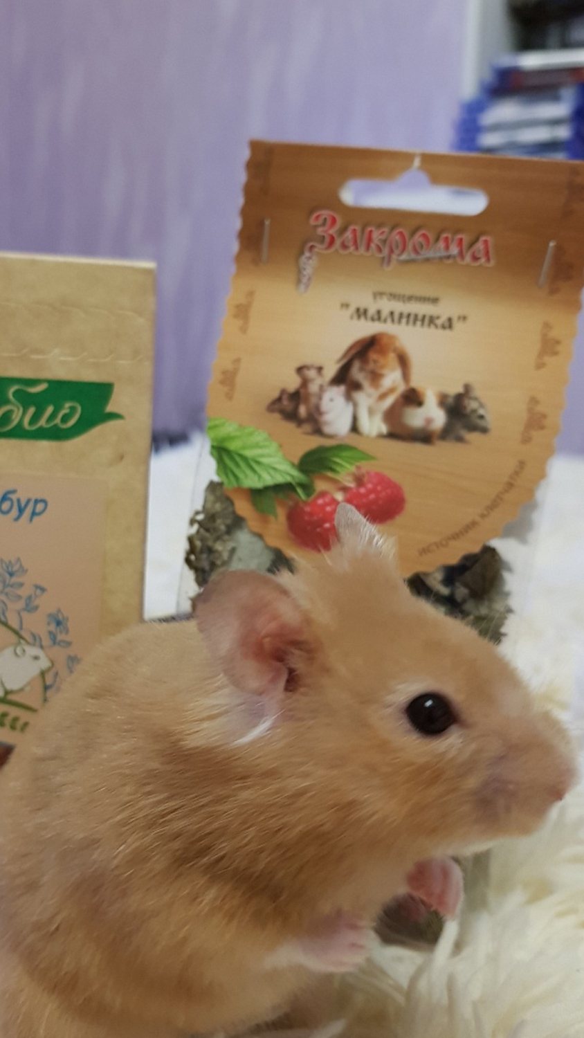 Угощение «Малинка»